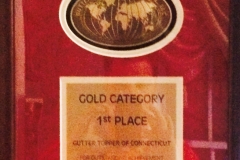 gold-award-2008