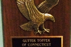 gutter-topper-sales-2012