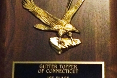gutter-topper-sales-2010a